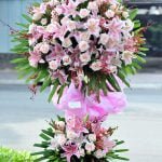 Kệ Hoa Khai Trương - Chúc Mừng -  Hồng Vượng Khai Hoa