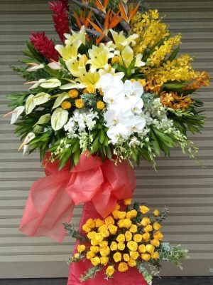 Hoa Khai Trương - Chúc Mừng Thành Công Rực Rỡ
