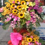 Kệ Hoa Khai Trương  -  Phát Tài Như Ý