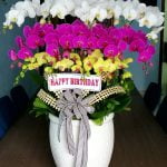 Bình Lan Hồ điệp 16 Cành Nhất Lộc, Khai Trương, chúc Mừng